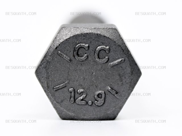 BOLT AND NUT CATERPILLAR CAT306